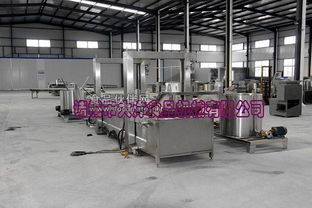 諸城市大洋食品機械推出全新高效油炸生產(chǎn)線，引領(lǐng)食品加工設(shè)備性能新標桿